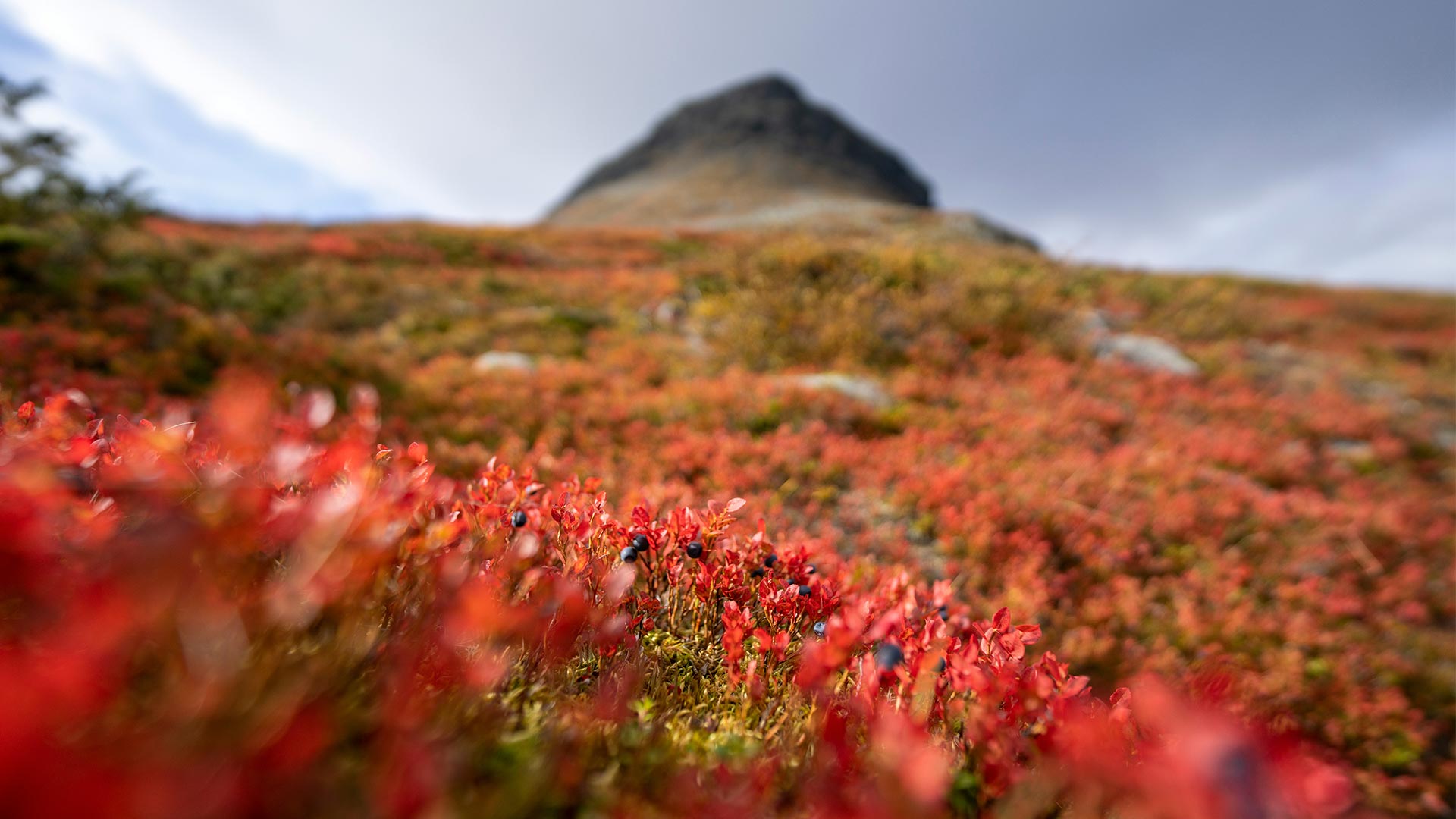 finding finland - four seasons in finland