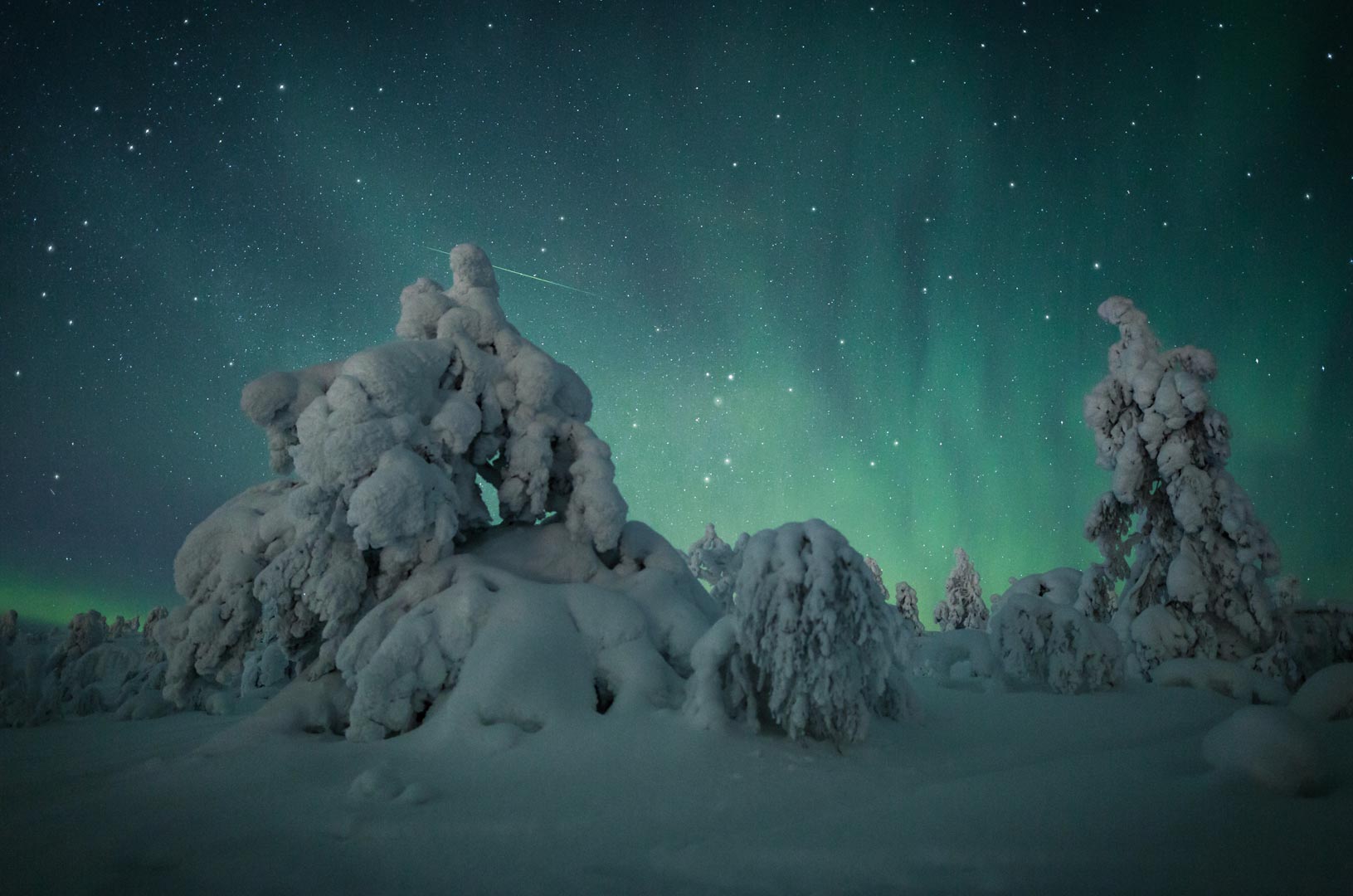 northern lights in lapland