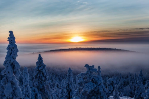 Lapland, syöte